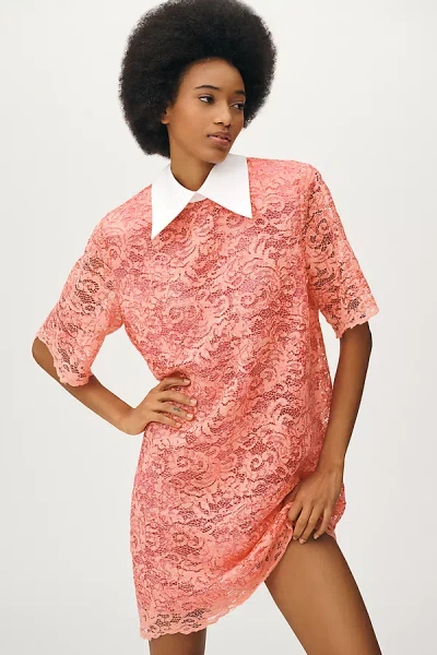 Stella Nova Sequined Lace Shirt Dress In Multicolor