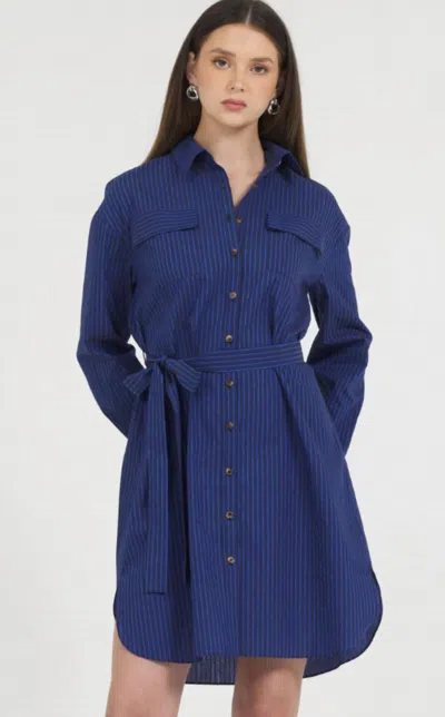 Stellah Cotton Yarn Dye Stripe Button Down Shirt Mini Dress In Blue In Multi