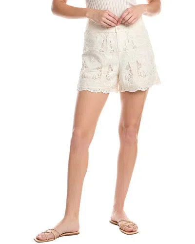 Stellah Julia Novelty Lace Short In Multi