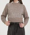 Stellah Sequin Pullover Sweater Top In Beaver In Multi