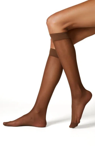 Stems 3-pack Sheer Knee High Socks In Brown