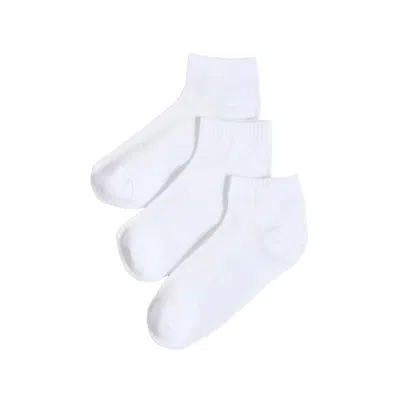 STEMS WOMEN'S EVERYDAY ANKLE SOCKS 3 PACK