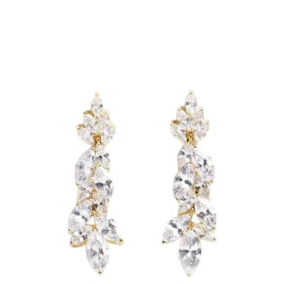 Stephanie Browne Australia Women's Allure Earrings - Gold