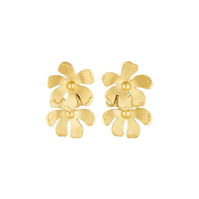 Stephanie Browne Australia Women's Gold Summerfield Earrings