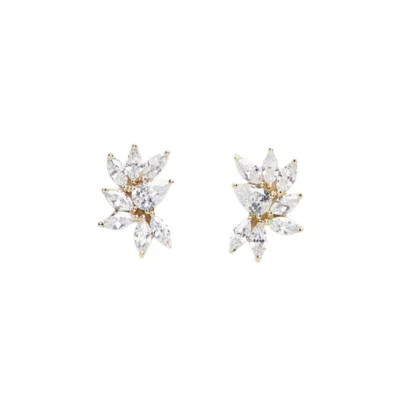 Stephanie Browne Australia Women's Twilight Earrings - Rose Gold