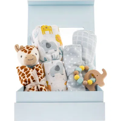 Stephen Joseph Kids'  Baby Gift Box Set In Green
