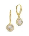 Sterling Forever 14k Plated Frame Rose Petal Short Drop Earrings