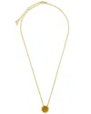 Sterling Forever Women's 14k Goldplated & Tiger's Eye Rose Petal Pendant Chain Necklace/16"