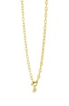 Sterling Forever Ava Freshwater Pearl & Burst Toggle Chain Necklace In Gold