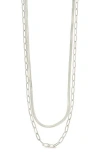 Sterling Forever Brinley Layered Chain Necklace In Silver