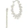 Sterling Forever Effie Vine Hoop Earrings