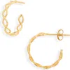 Sterling Forever Open Rope Hoop Earrings In Gold