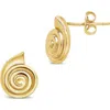 Sterling Forever Shell Stud Earrings