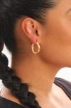 Sterling Forever Twist Hollow Hoop Earrings In Gold