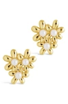 Sterling Forever Vallie Cultured Pearl Stud Earrings In Gold