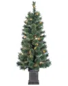 Sterling Tree Company 3.5ft Potted Deluxe Hard Needle Cashmere Pine With 50 Clear Lights In Green
