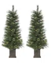 Sterling Tree Company 4ft Potted Hard Mixed Needle Cashmere Tree With 70 Clear Lights (set Of 2) In Green