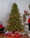 Sterling Tree Company 7.5ft Layered Norfolk Pine Pre-lit Tree In Green