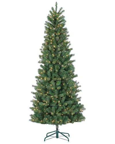 Sterling Tree Company 7.5ft Natural Cut Slim Montgomery Pine With 550 Clear Lights In Green