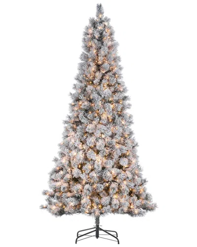 Sterling Tree Company 9ft High Flocked Pre-lit Hard Mixed Needle Boise Pine With Warm White Lights