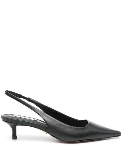 Steve Madden Kittie Slingback Pointed Toe Kitten Heel Pump In Black