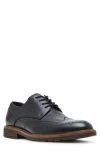 Steve Madden Acari Wingtip Derby In Black