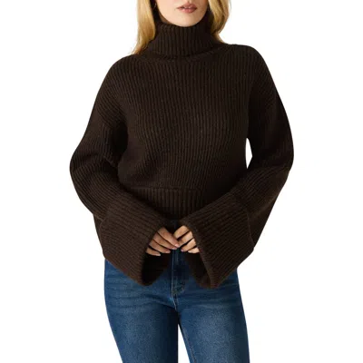 Steve Madden Adelade Turtleneck Sweater In Brown