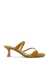 Steve Madden Ajay Sandal In Multi