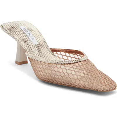 Steve Madden Alyse Mule In Animal Print