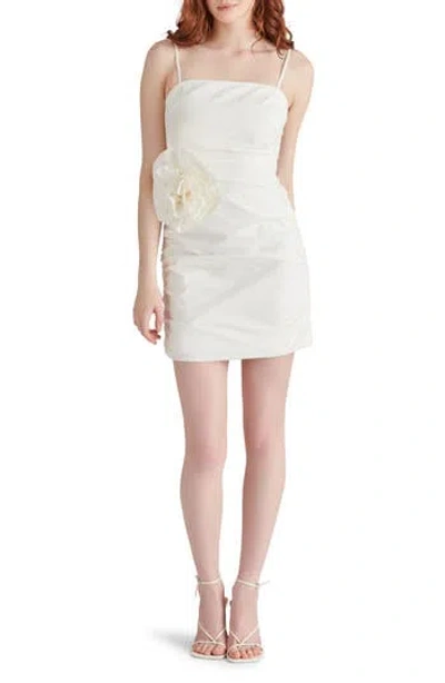 Steve Madden Andria Rosette Minidress In Brown