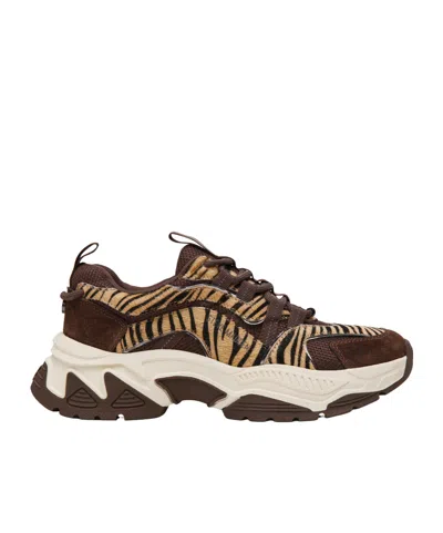 Steve Madden Animates Chunky Trainers In Brown