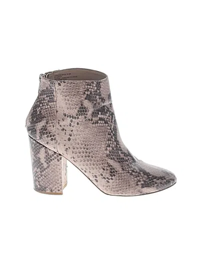 Pre-owned Steve Madden Ankle Boots In Gray