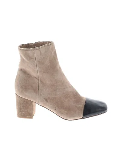 Pre-owned Steve Madden Ankle Boots In Gray