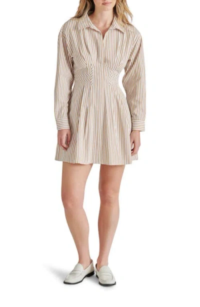 Steve Madden Aria Stripe Long Sleeve Mini Shirtdress In Dusty Taupe