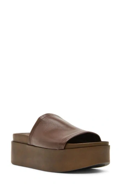 Steve Madden Arwen Platform Wedge Slide Sandal In Brown