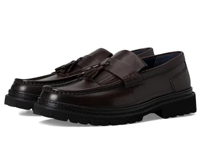 STEVE MADDEN ASHFORD