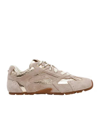 Steve Madden Asiel Panelled Low-top Sneakers In Brown