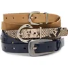 Steve Madden Assorted 3-pack Buckle Belts In Multi
