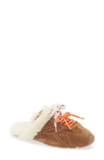 Steve Madden Azielmule-f In Brown