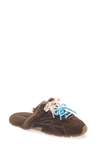Steve Madden Azielmule-f In Brown