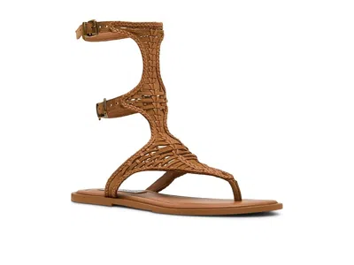 Steve Madden Bayley In Brown