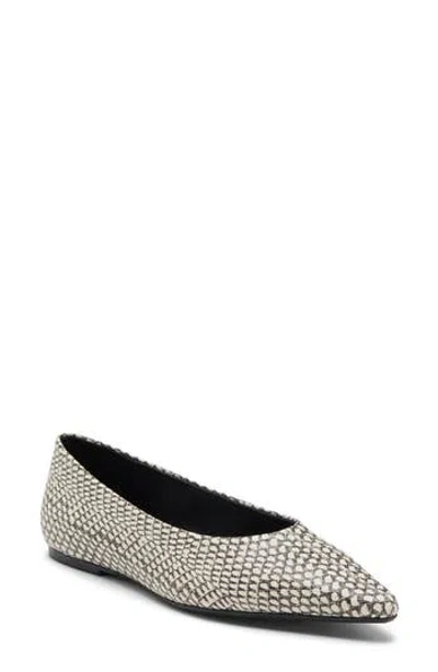 Steve Madden Bekah Pointed Toe Flat In Multi