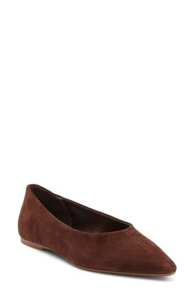 Steve Madden Bekah Pointed Toe Flat In Brown