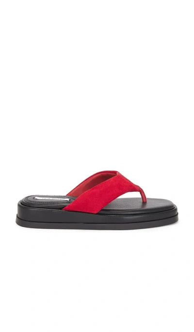Steve Madden Bella Sandal In Red