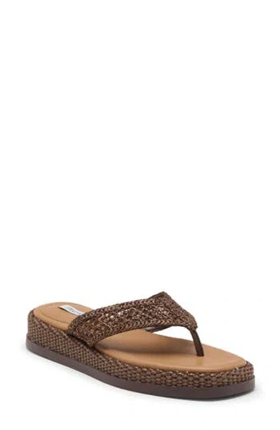 Steve Madden Bella Thong Platform Slide Sandal In Brown