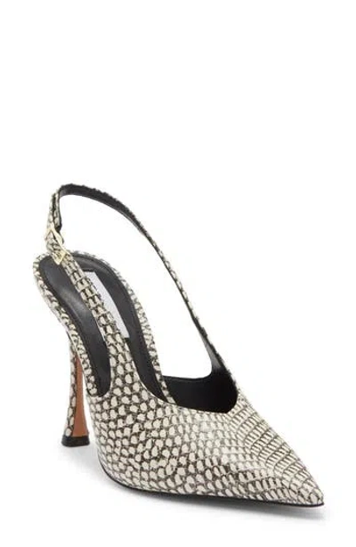 Steve Madden Beverlie Pointed Toe Slingback Pump In Brown