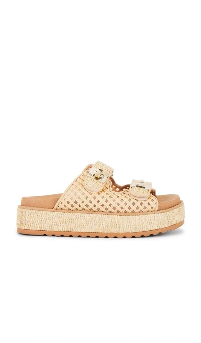 Steve Madden Bigschmona Sandal In Natural Raffia