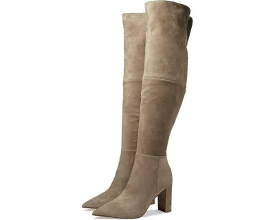 Steve Madden Blyss Womens Taupe Suede Ankle Zip Knee High Boots Jobb1802 In Neutral