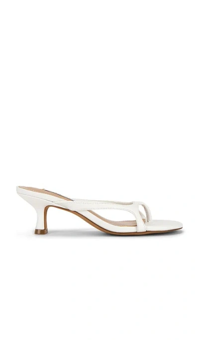 Steve Madden Brienna Sandal In White