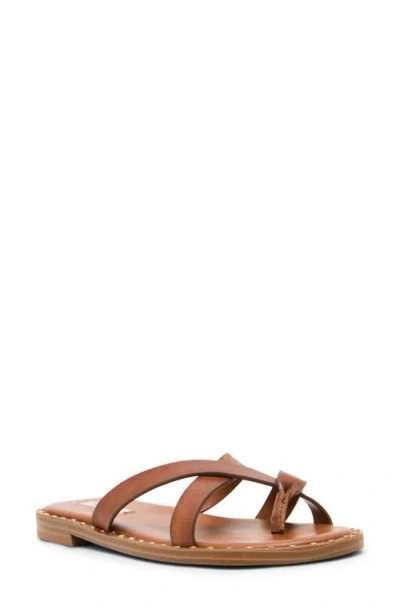 Steve Madden Brutus Slide Sandal In Multi